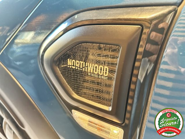 MINI Countryman usata, con Alzacristalli elettrici