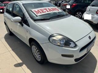FIAT Punto usata, con Airbag