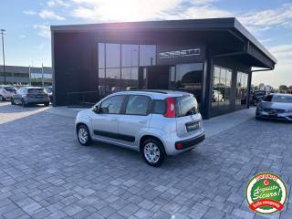 FIAT Panda usata, con Climatizzatore