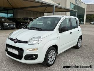 FIAT Panda usata, con Airbag
