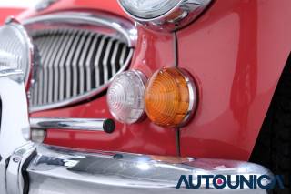 AUSTIN Healey usata 58