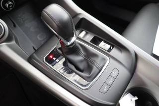ALFA ROMEO Tonale usata, con Sedili riscaldati
