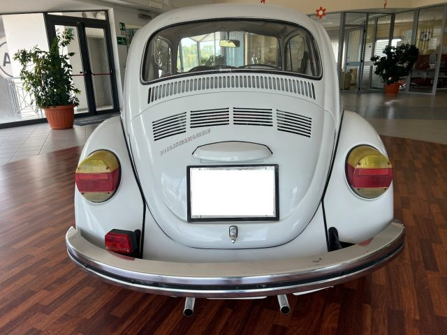 VOLKSWAGEN Maggiolone usata 4