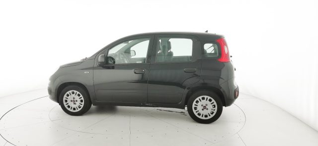 FIAT Panda usata 22