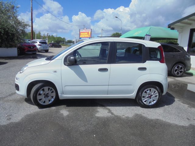 FIAT Panda usata, con Climatizzatore