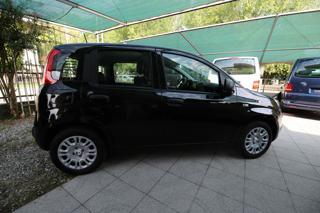 FIAT Panda usata, con Antifurto