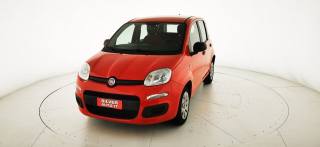 FIAT Panda usata 24
