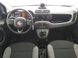FIAT Panda usata, con Controllo trazione