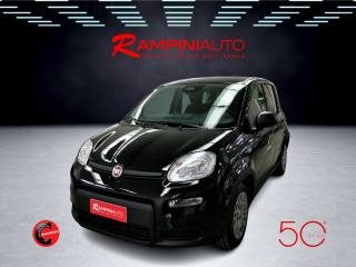 FIAT Panda usata 1