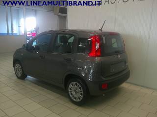 FIAT Panda usata, con Climatizzatore
