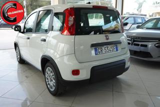 FIAT Panda usata, con Alzacristalli elettrici