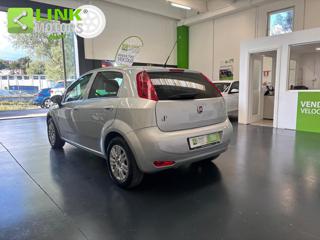 FIAT Punto usata 23