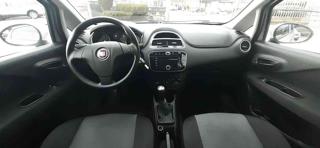 FIAT Punto usata 17