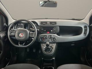 FIAT Panda usata, con Servosterzo