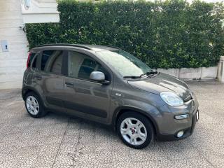 FIAT Panda usata 19