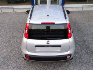 FIAT Panda usata 39