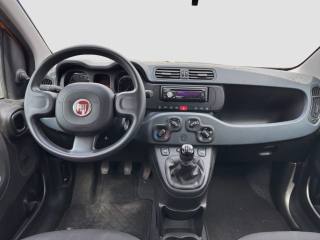 FIAT Panda usata 8
