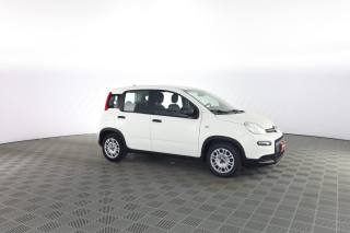 FIAT Panda usata 1