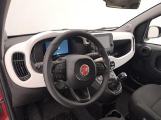 FIAT Pandina usata, con Cruise Control
