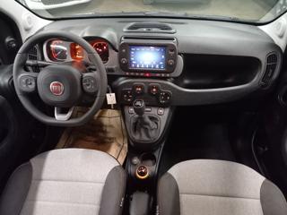 FIAT Panda Cross usata, con Chiusura centralizzata
