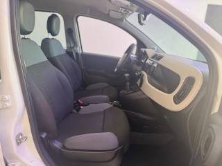 FIAT Panda usata 13