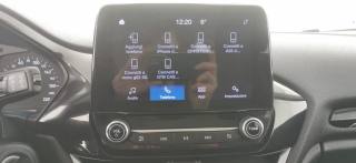 FORD Fiesta usata 60