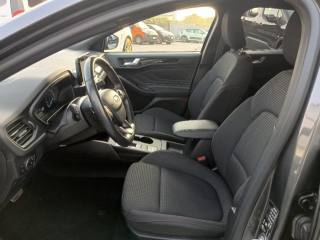 FORD Focus usata, con Cerchi in lega