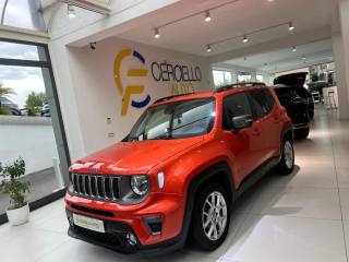 JEEP Renegade usata, con Boardcomputer