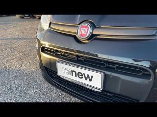 FIAT Panda usata 10