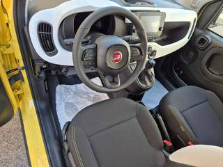 FIAT Pandina usata, con Climatizzatore
