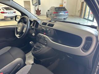 FIAT Panda usata, con Chiusura centralizzata