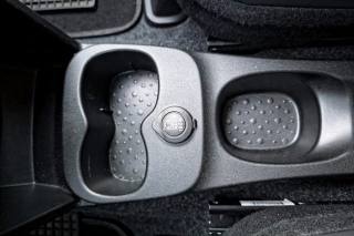 FIAT Panda Cross usata, con Servosterzo
