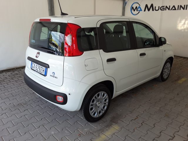 FIAT Panda usata, con Servosterzo
