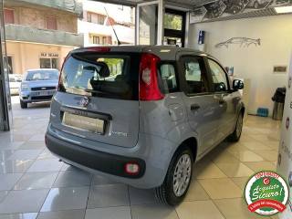 FIAT Panda usata 19