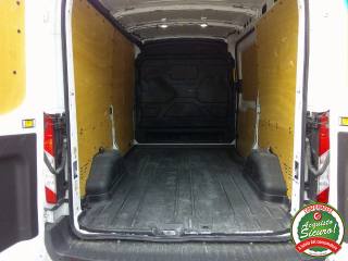 FORD Transit usata, con Fendinebbia