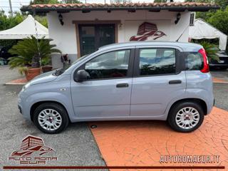 FIAT Panda usata, con Airbag