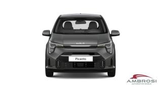 KIA Picanto usata 7