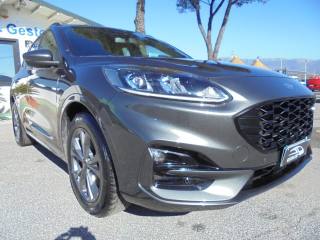 FORD Kuga usata 21
