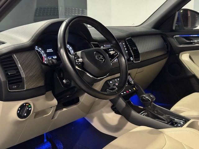 SKODA Kodiaq usata, con Climatizzatore