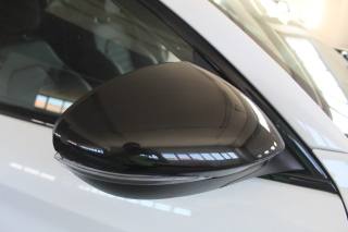 ALFA ROMEO Stelvio usata, con Bracciolo