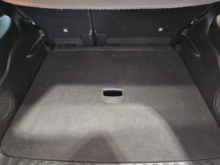 FIAT 500L usata, con Fendinebbia