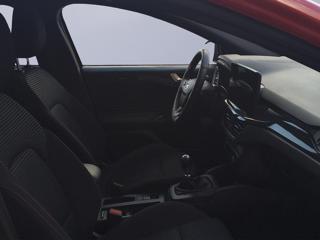 FORD Focus usata, con Fendinebbia