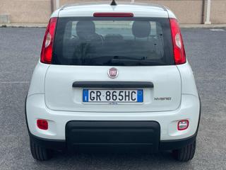 FIAT Panda usata 20