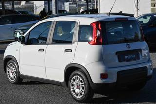 FIAT Panda usata, con Climatizzatore