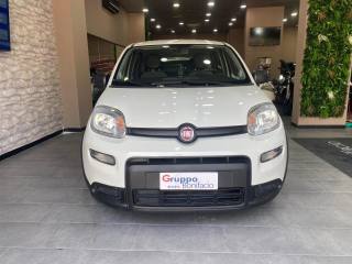 FIAT Panda usata, con Airbag laterali