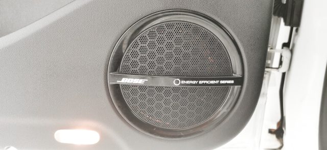 RENAULT Scenic usata 57