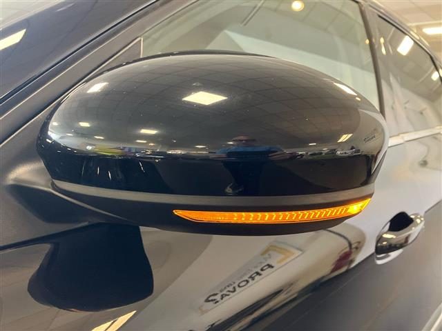 RENAULT Arkana usata 24