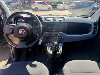 FIAT Panda usata, con Controllo trazione