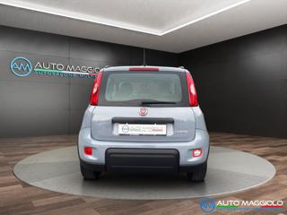 FIAT Panda usata, con Autoradio