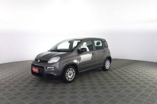 FIAT Panda usata 6